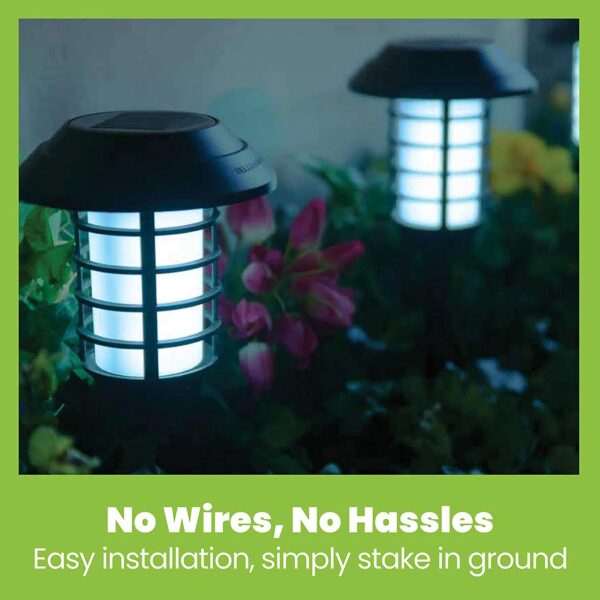 2 in 1 Solar Flame Lamp