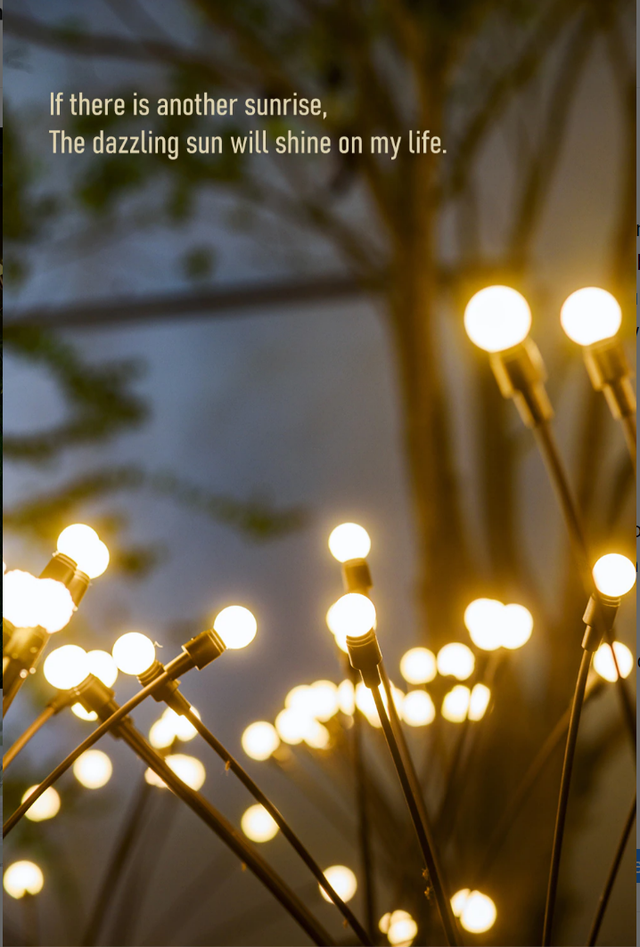 Warm Solar Firefly Lights