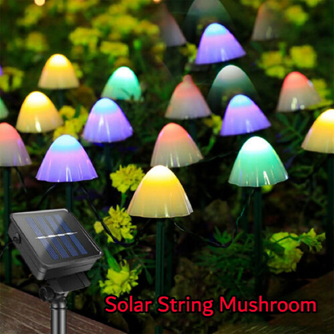 Solar Mushroom String