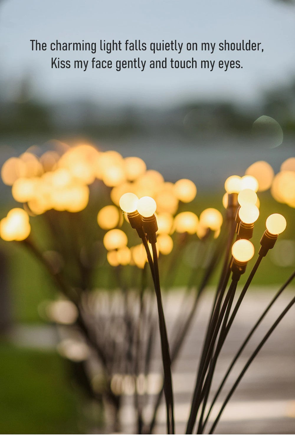 Warm Solar Firefly Lights